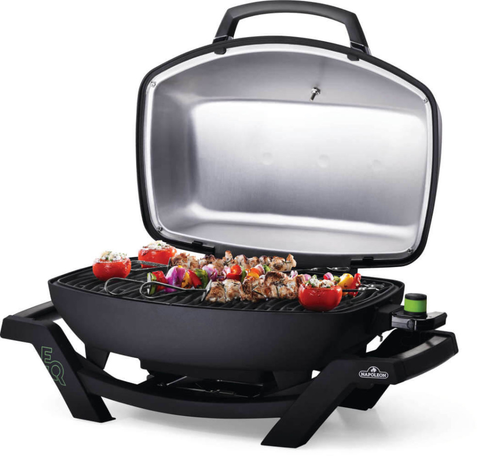 Napoleon TravelQ PRO285E- фото5