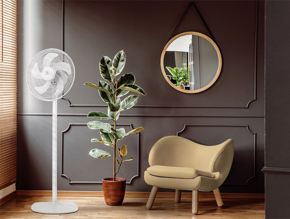 Electrolux EFF-1005- фото7