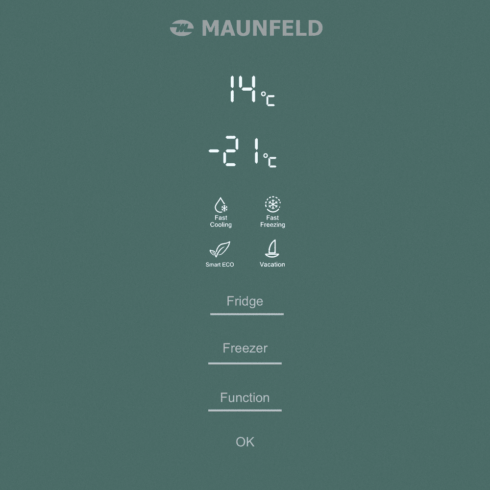 MAUNFELD MFF200NFGN matt-inverter- фото5